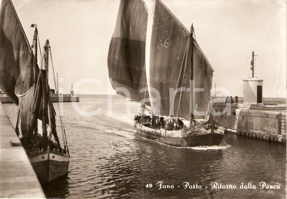 Cartolina originale da collezione 1950 ca FANO (PU) Barca ritorna al porto dopo la pesca *Cartolina FG NV 1