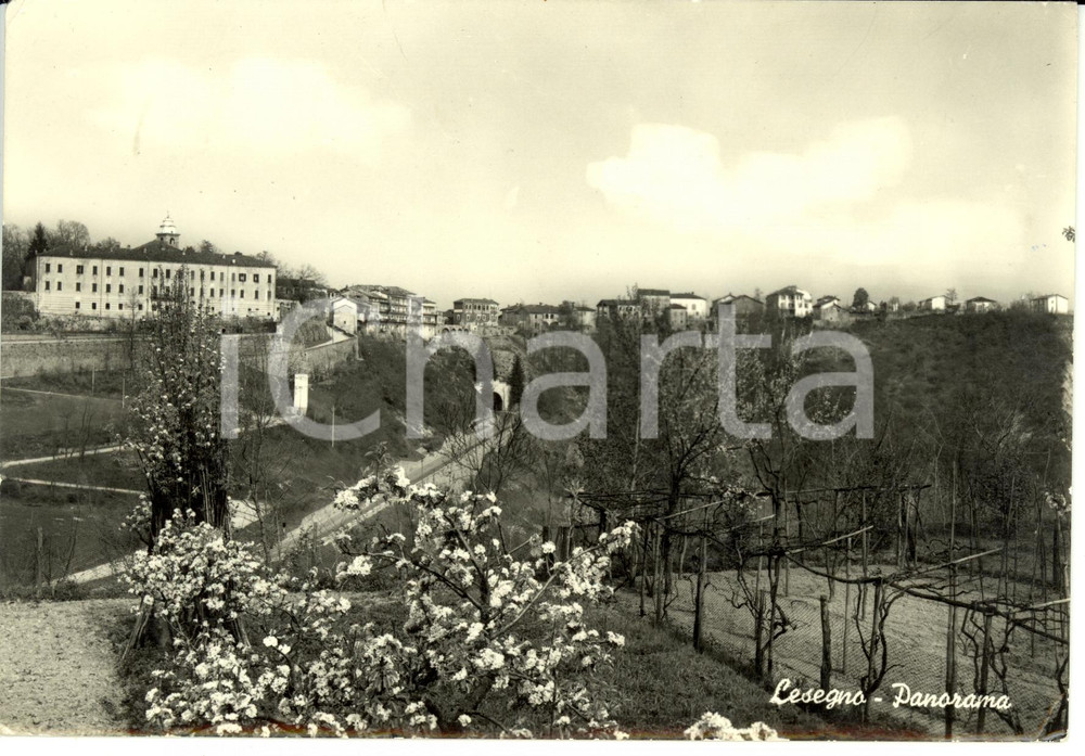 Cartolina originale da collezione 1959 LESEGNO (CN) Panorama *Cartolina postale FG VG 1