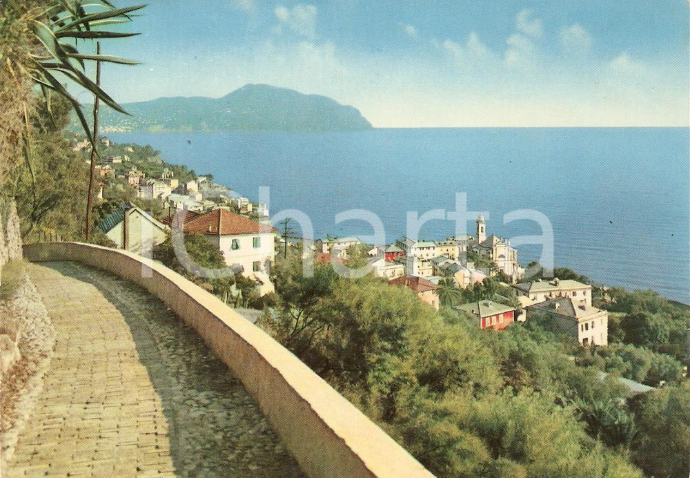 Cartolina originale da collezione 1966 BOGLIASCO GE Panorama dal Golfo Paradiso Cartolina FG VG 1