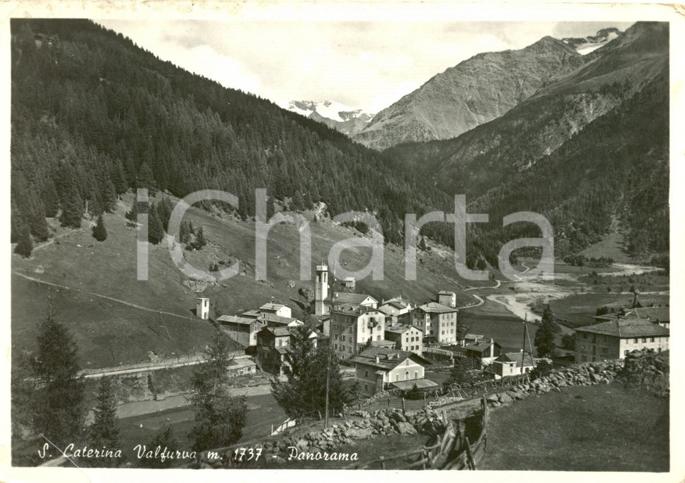 Cartolina originale da collezione 1956 S. CATERINA VALFURVA SO Panorama generale Cartolina postale FG VG 1