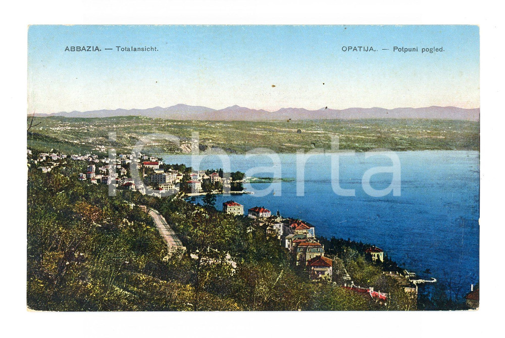Cartolina originale da collezione 1950 ca ABBAZIA / OPATIJA (CROAZIA) Veduta panoramica *Cartolina postale  FP NV 1