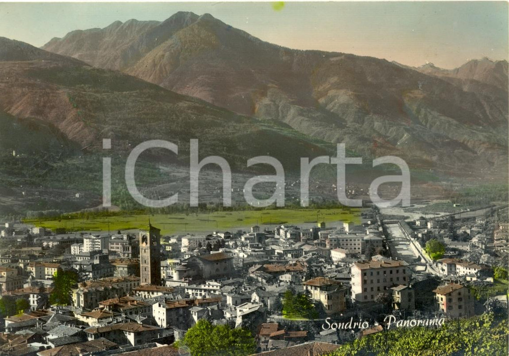 Cartolina originale da collezione 1956 SONDRIO SO Panorama generale  Cartolina postale FG VG 1