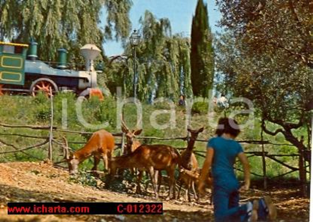 Cartolina originale da collezione 1975 ca PERUGIA Parco di SPAGNOLIA Città della Domenica Cartolina FG NV 1
