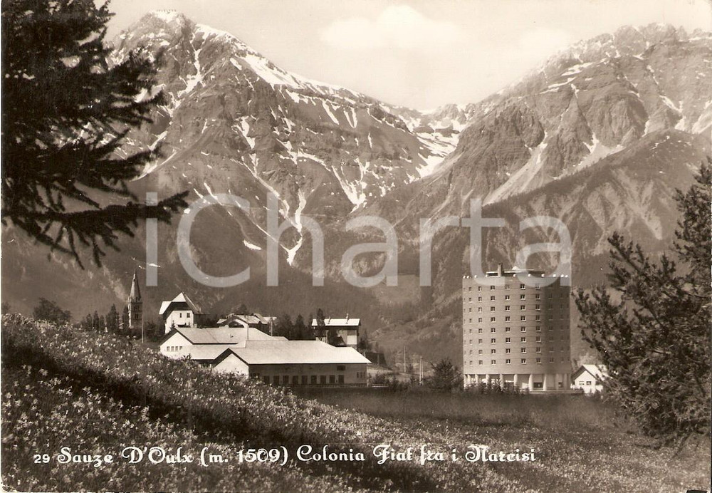 Cartolina originale da collezione 1955 SAUZE D OULX TO Colonia FIAT fra i narcisi Cartolina FG VG 1