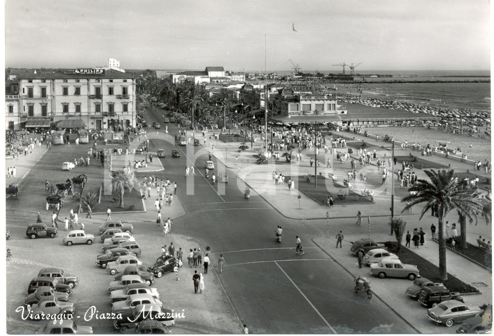 Cartolina originale da collezione 1955 ca VIAREGGIO LU Panoramica aerea piazza MAZZINI con automobili ANIMATA 1