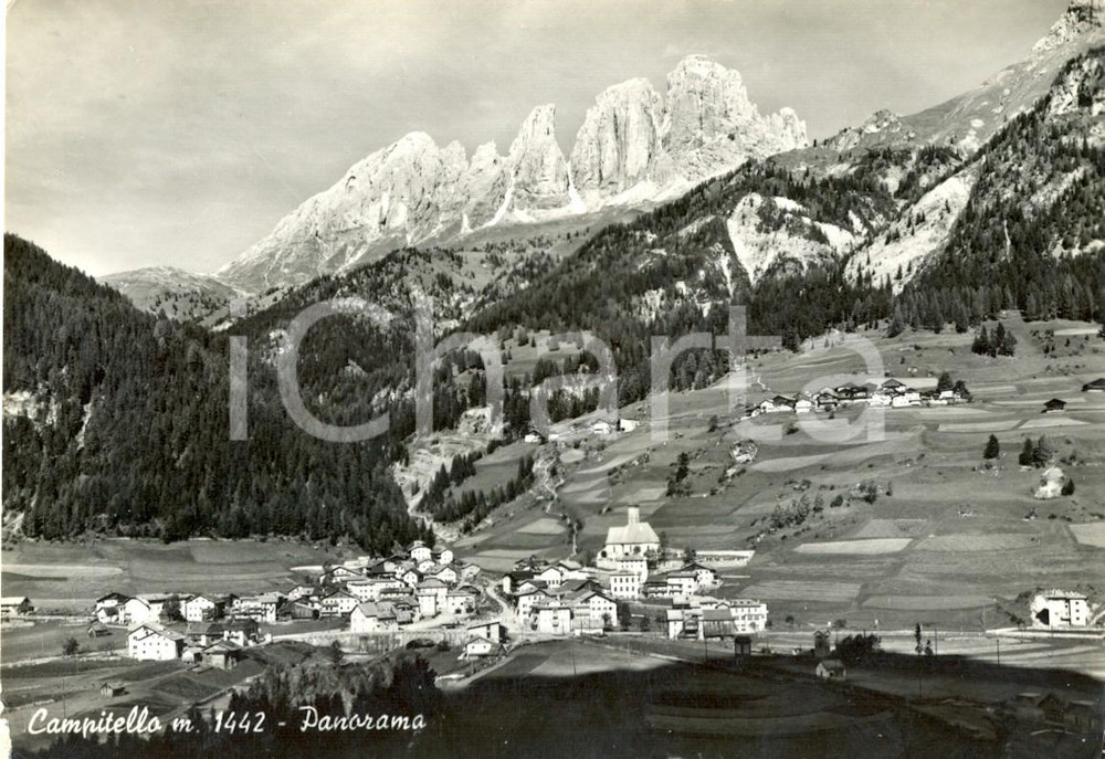 Cartolina originale da collezione 1969 CAMPITELLO DI FASSA TN Scorcio panoramico del paese Cartolina postale FG 1