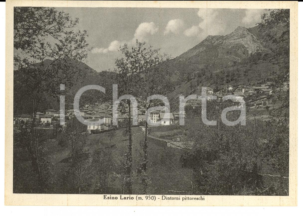 Cartolina originale da collezione 1950 ESINO LARIO (LC) Veduta dei dintorni pittoreschi *Cartolina FG NV 1