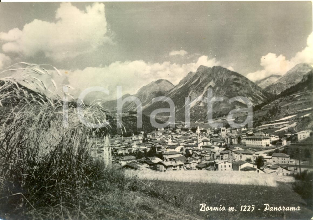 Cartolina originale da collezione 1954 BORMIO SO Panorama generale Cartolina postale FG VG 1