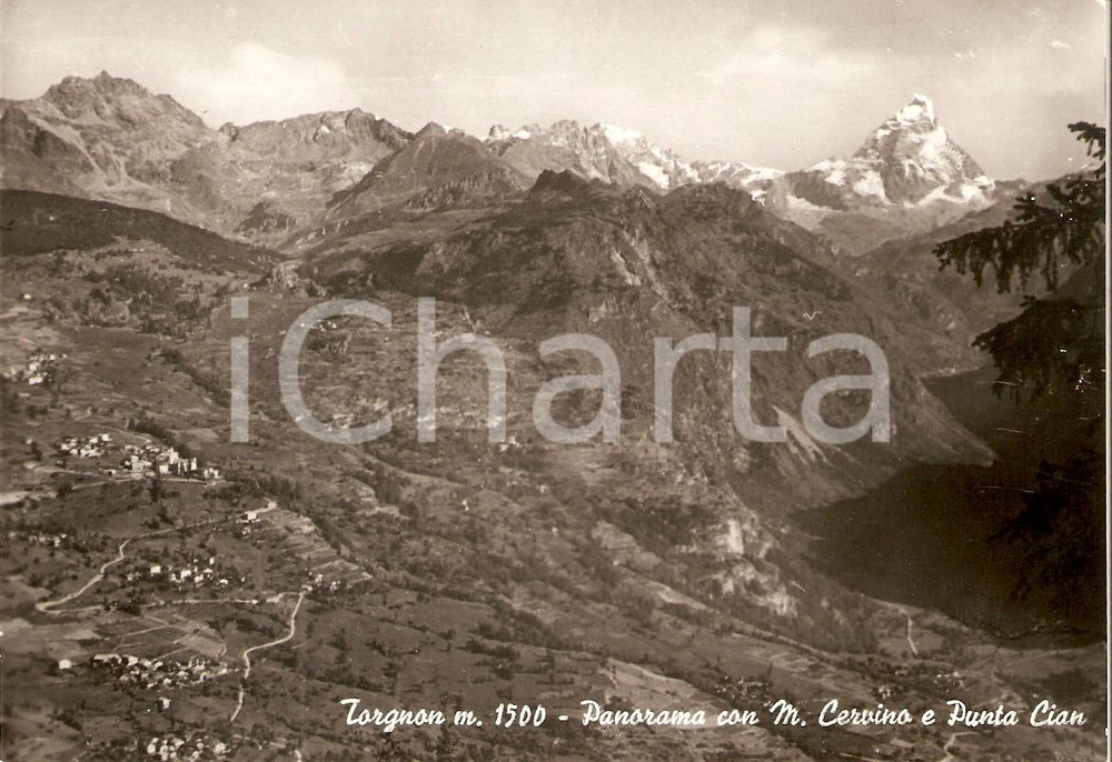 Cartolina originale da collezione 1955 ca TORGNON AO Monte Cervino e PUNTA CIAN Panorama Cartolina FG NV 1