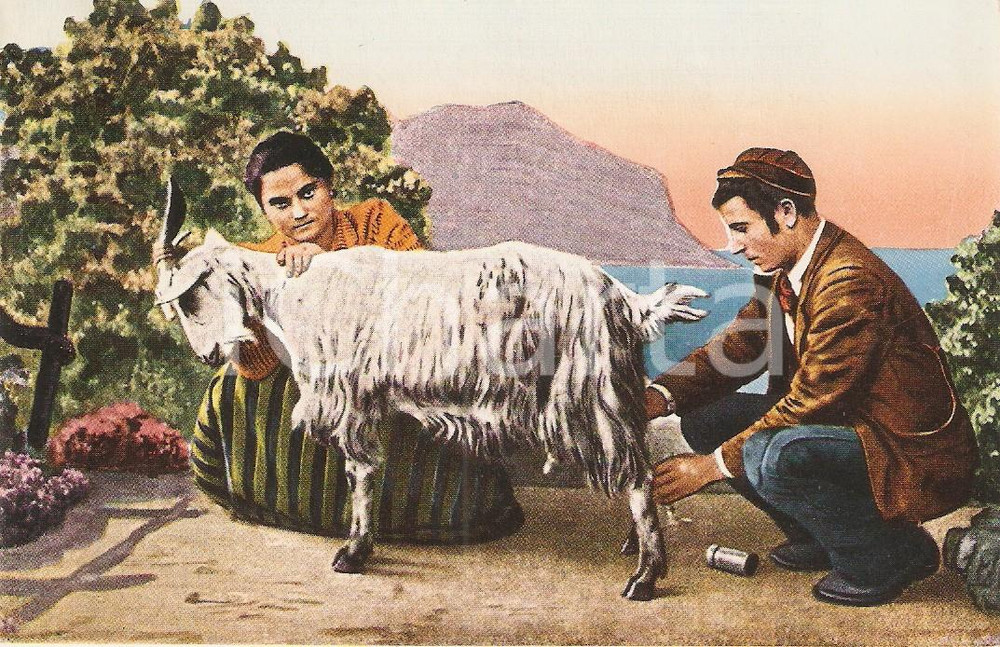Cartolina originale da collezione 1939 COSTUMI SICILIANI Mungitori di capre al lavoro Cartolina ILLUSTRATA FP NV 1