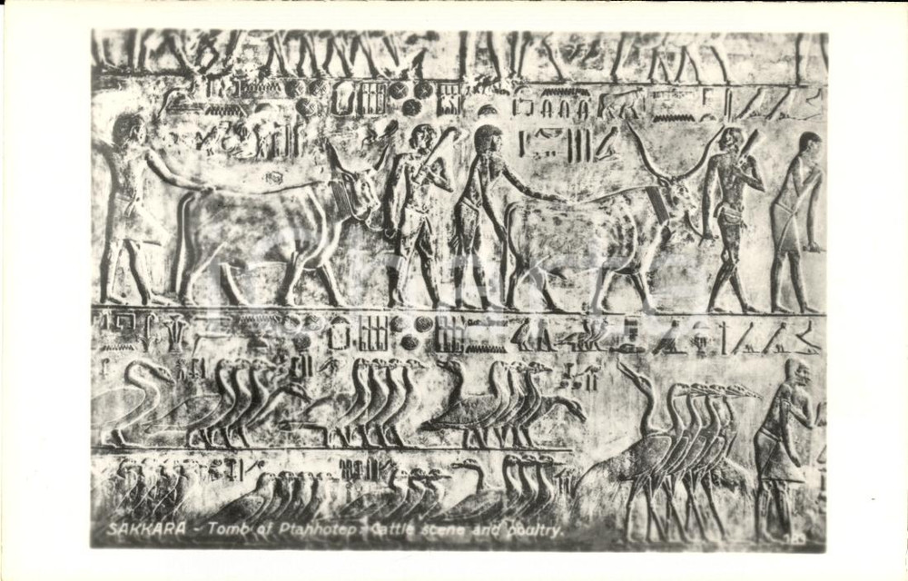 Cartolina originale da collezione 1940 ca SAKKARA La tomba di PTAHHOTEP LEHNERT LANDROCK 1