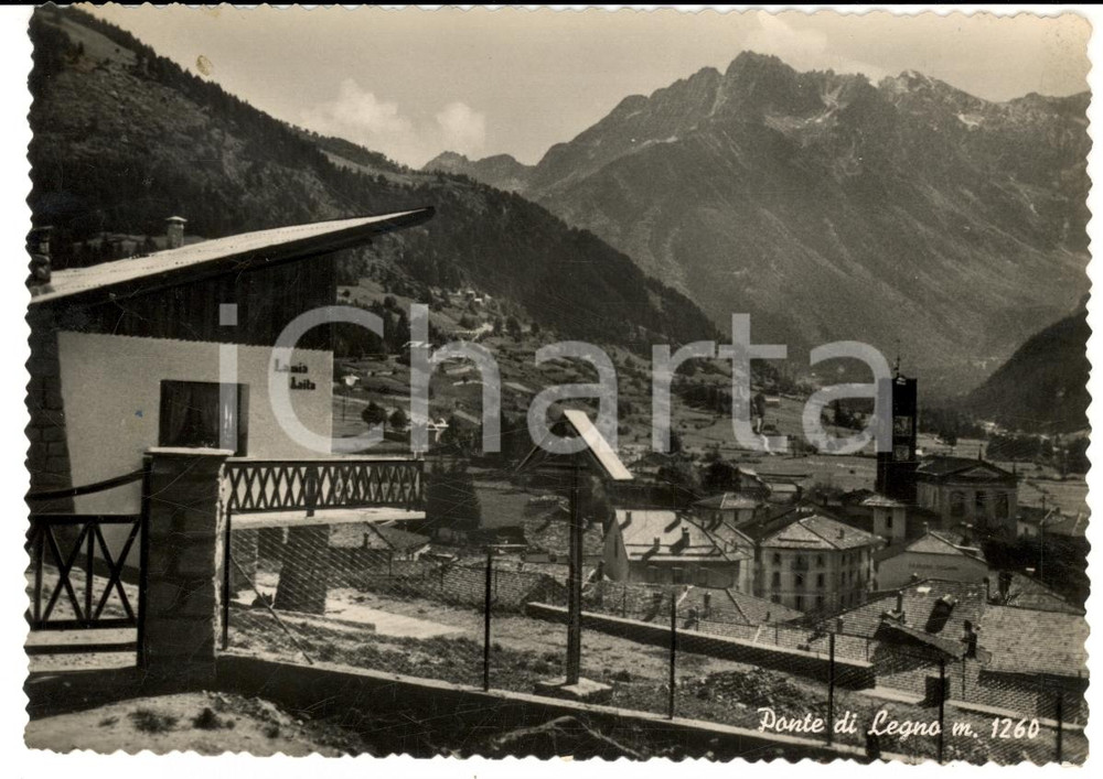 Cartolina originale da collezione 1956 PONTE DI LEGNO (BS) Veduta del paese con albergo LA MIA BAITA FG VG 1