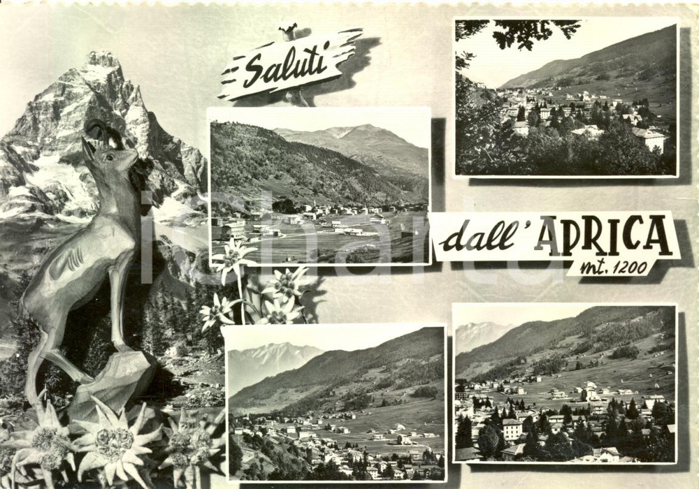 Cartolina originale da collezione 1964 APRICA (SO) Vedutine panoramiche  *Cartolina postale FG VG 1