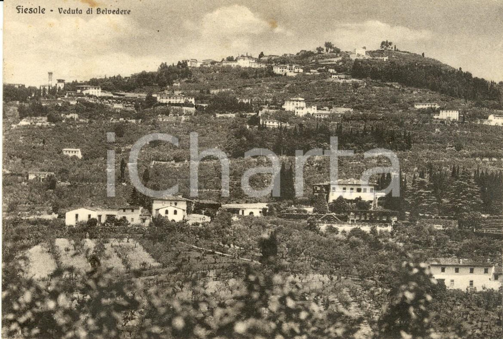 Cartolina originale da collezione 1949 FIESOLE FI Veduta panoramica localitÃ  BELVEDERE Cartolina postale FG VG 1