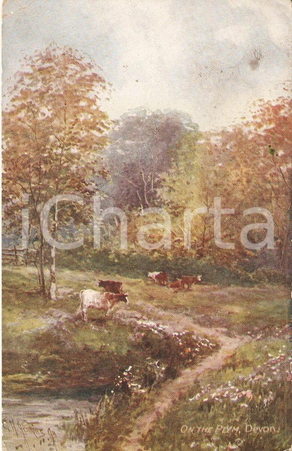 Cartolina originale da collezione 1918 On yhe plym DEVON - OILETTE Raphael TUCK *Cartolina ILLUSTRATA FP VG 1