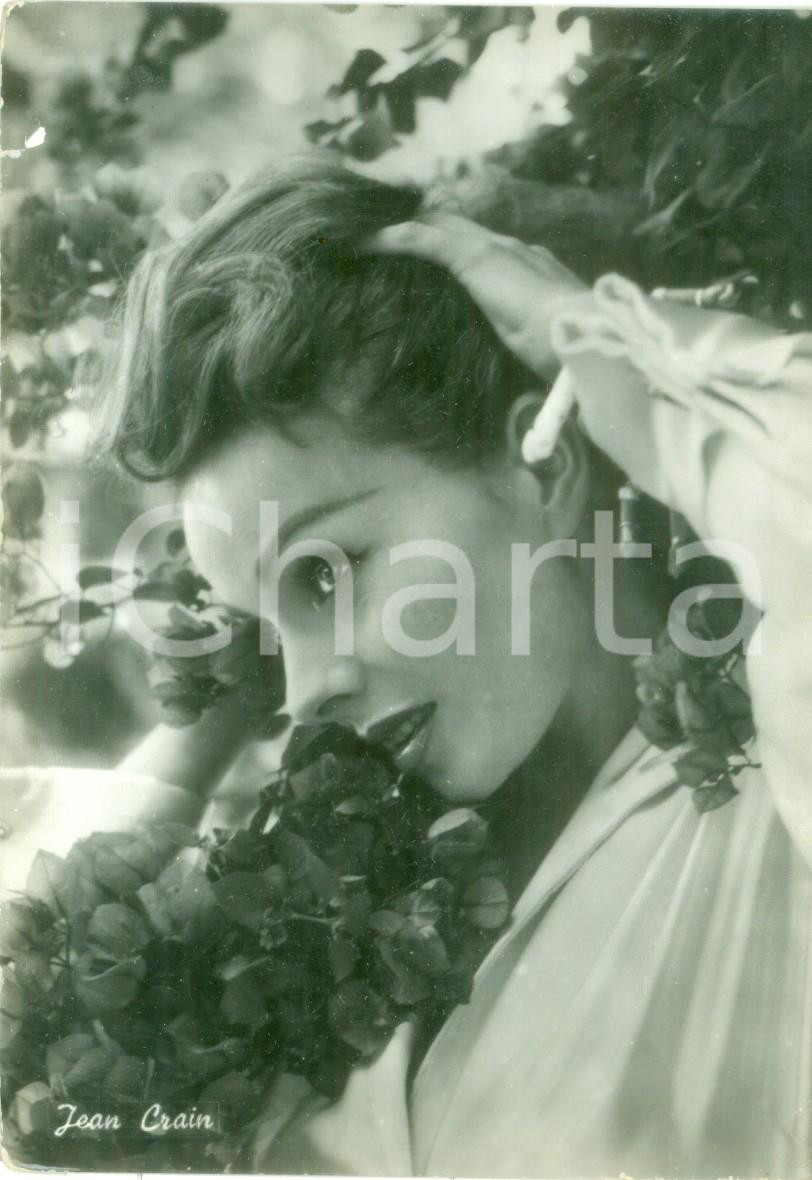 Cartolina originale da collezione 1955 ca CINEMA Attrice Jeanne CRAIN Divi del cinema 175 Cartolina FG NV 1
