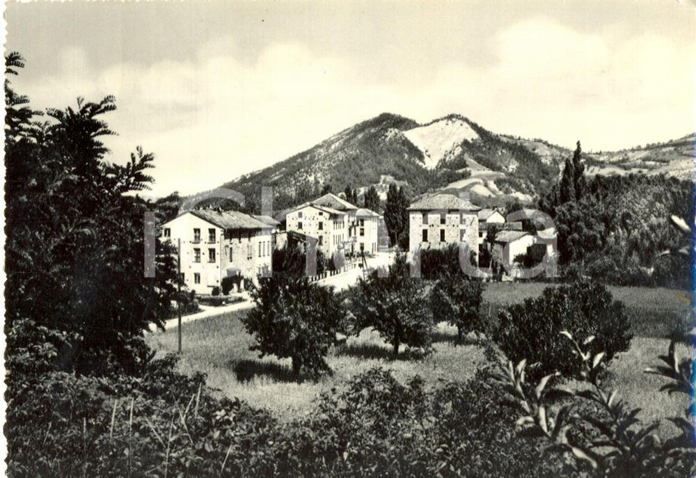 Cartolina originale da collezione 1951 PONTE NIZZA (PV) Scorcio panoramico del paese *Cartolina postale FG VG 1
