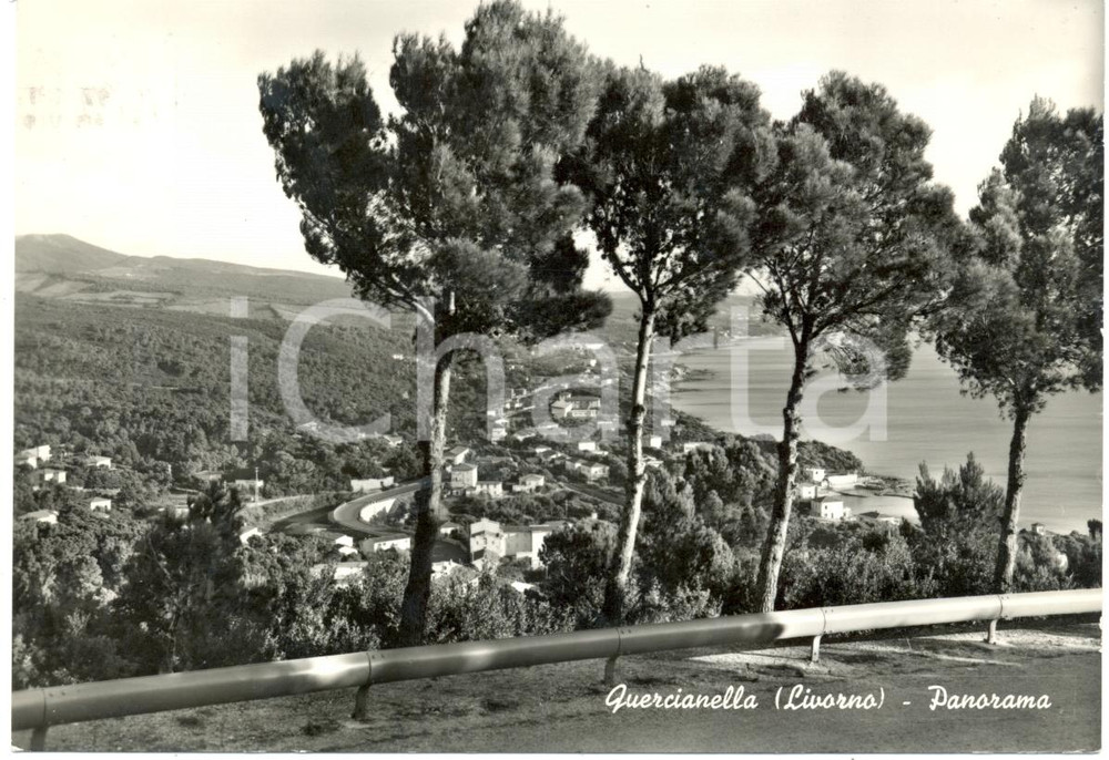 Cartolina originale da collezione 1962 LIVORNO Panoramica aerea della frazione QUERCIANELLA Cartolina FG VG 1