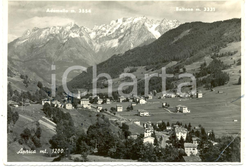Cartolina originale da collezione 1954 PASSO DELL APRICA SO Veduta paese ADAMELLO e BAITONE FG VG DANNEGGIATA 1