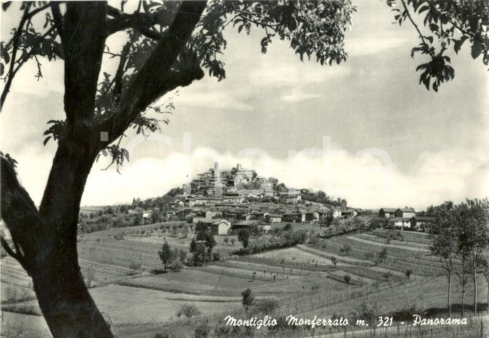 Cartolina originale da collezione 1962 MONTIGLIO MONFERRATO (AT) Veduta panoramica del paese *Cartolina postale FG 1