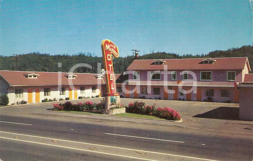 Cartolina originale da collezione 1958 REEDSPORT  OREGON USA Fir Grove Motel Cartolina VINTAGE 1