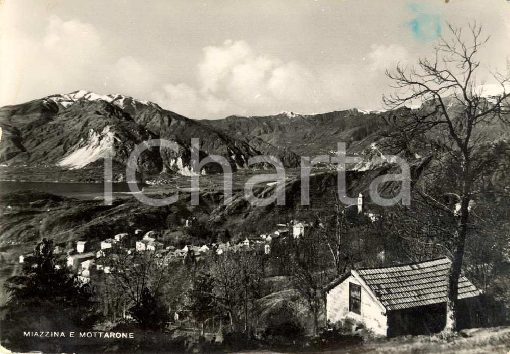 Cartolina originale da collezione 1951 MIAZZINA (VB) Veduta del paese e del Monte MOTTARONE *Cartolina FG VG 1