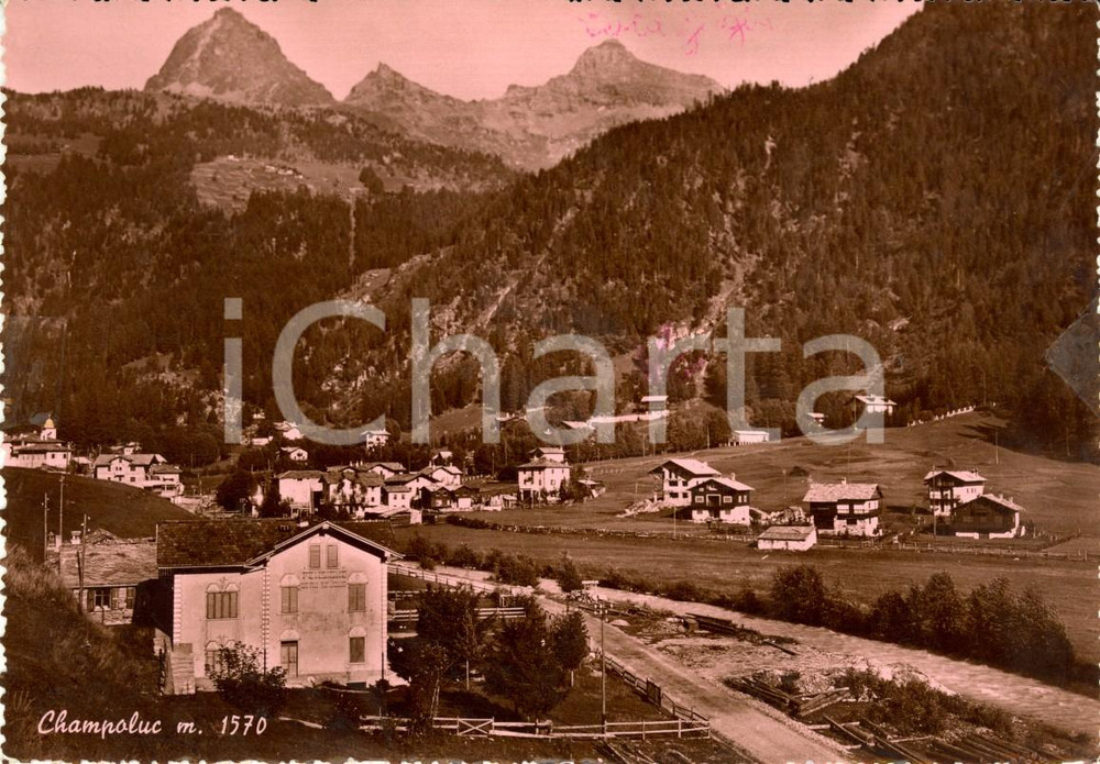 Cartolina originale da collezione 1954 CHAMPOLUC (AO) Veduta del paese con sfondo TESTA GRIGIA *Cartolina FG NV 1