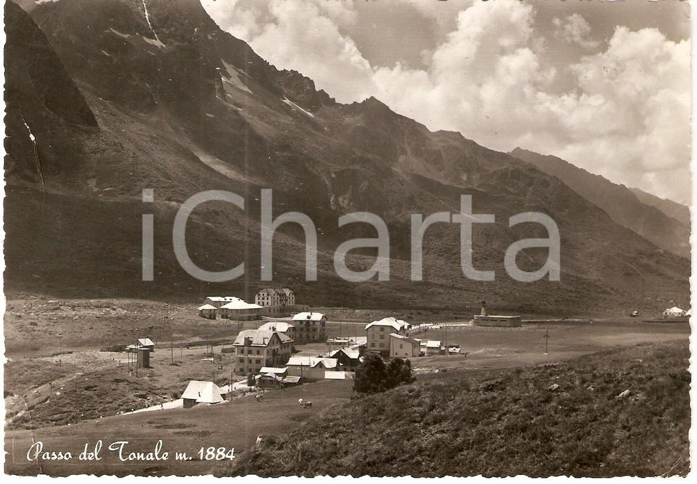 Cartolina originale da collezione 1956 PASSO TONALE (BS) Panorama *Cartolina FG VG 1