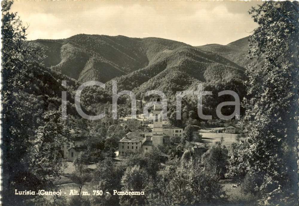 Cartolina originale da collezione 1953 ROCCAFORTE MONDOVI  CN Veduta panoramica di LURISIA Cartolina postale FG 1