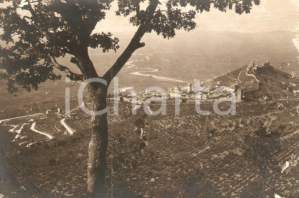 Cartolina originale da collezione 1945 ca ASSISI (PG) Veduta panoramica da Eremo delle Carceri *Cartolina FP NV 1
