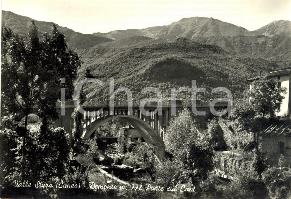 Cartolina originale da collezione 1960 ca DEMONTE CN Ponte sul torrente CANT in Valle STURA Cartolina FG VG 1