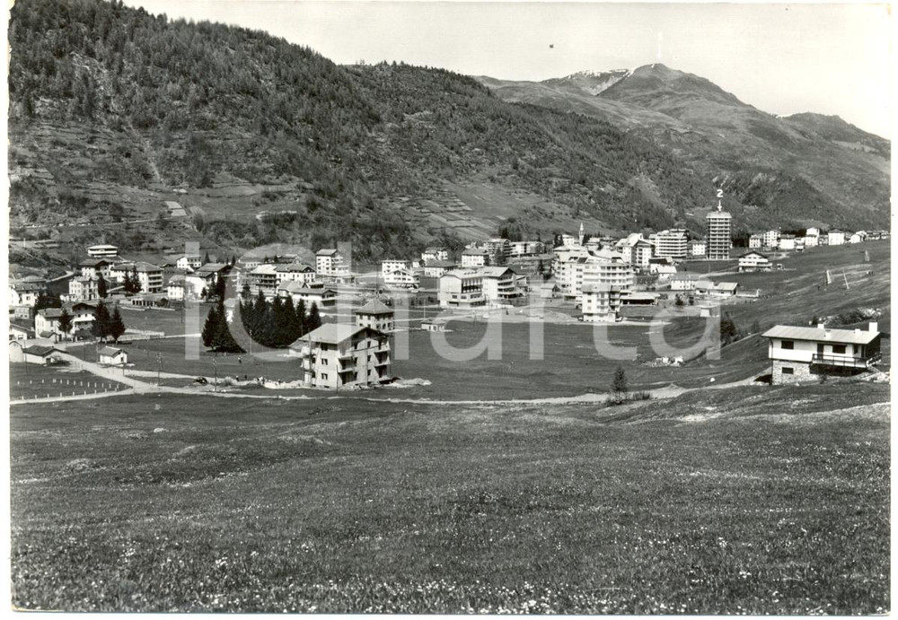 Cartolina originale da collezione 1964 PASSO DELL APRICA SO Veduta Monte PEDRIO Condominio AMERICAN LIFE FG VG 1