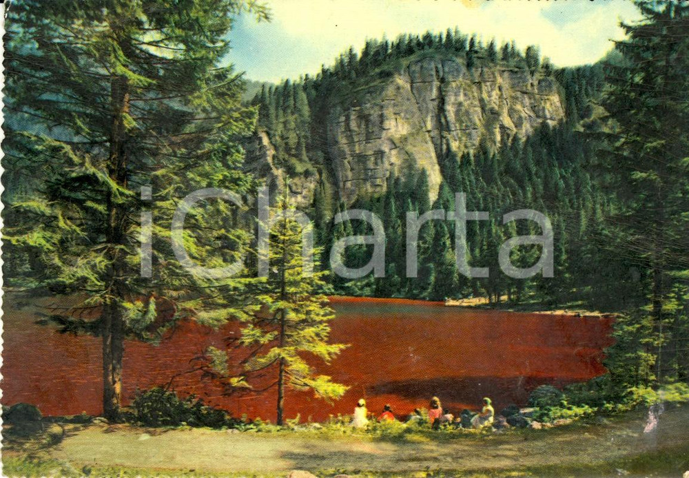 Cartolina originale da collezione 1960 ca TUENNO TN Lago rosso di TOVEL nel Gruppo del BRENTA Cartolina VINTAGE 1