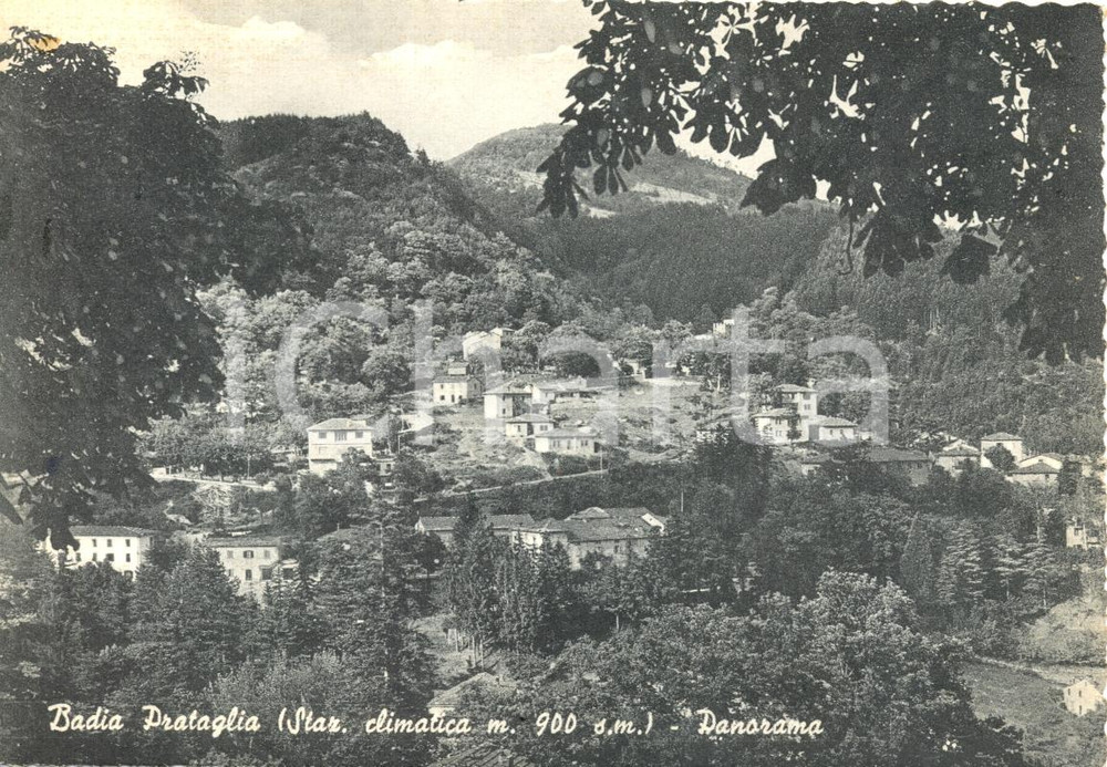 Cartolina originale da collezione 1956 BADIA PRATAGLIA AR Panorama generale Cartolina postale FG VG 1