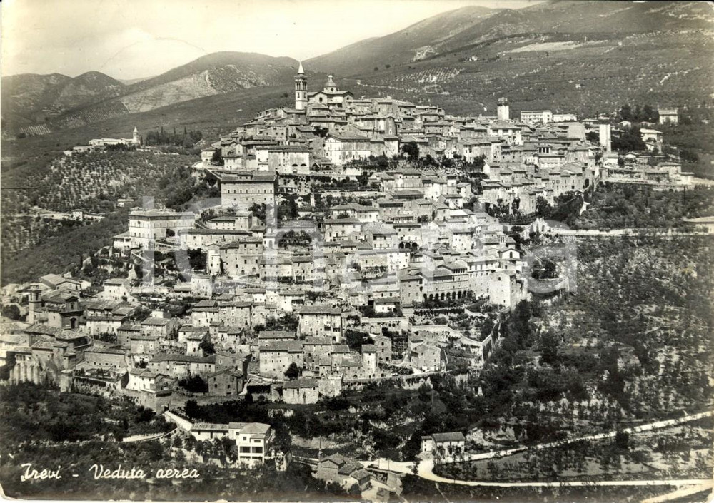Cartolina originale da collezione 1950 ca TREVI (PG) Veduta aerea del paese *Cartolina postale FG VG 1