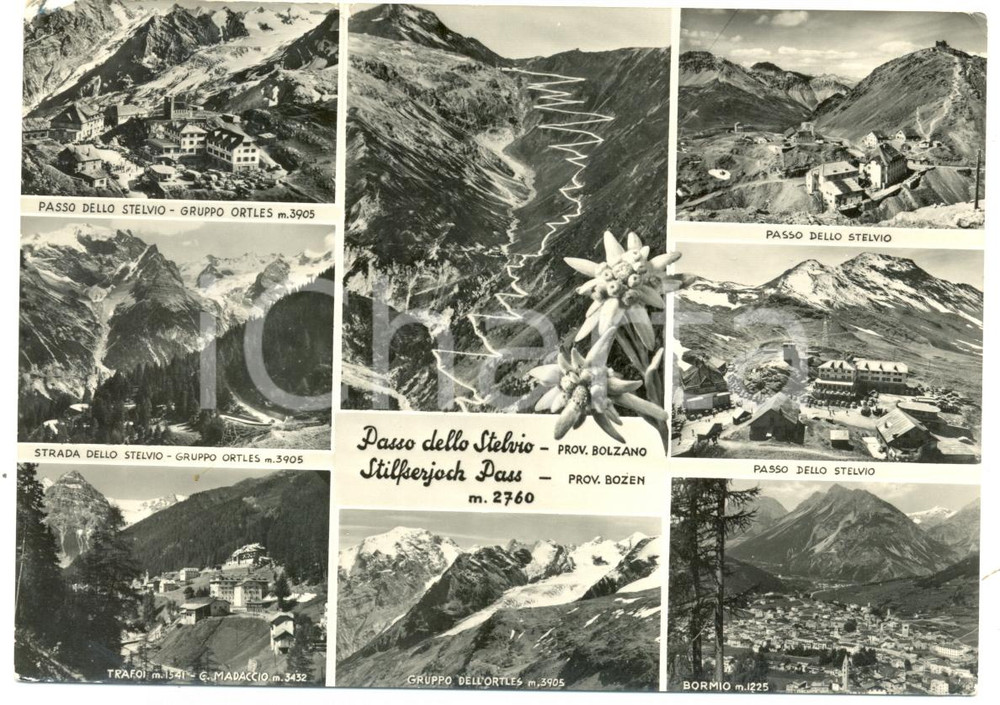 Cartolina originale da collezione 1961 PASSO STELVIO (BZ) Vedutine Gruppo ORTLES TRAFOI BORMIO *Cartolina FG VG 1