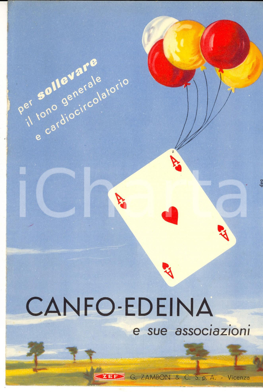 1955 VICENZA Farmaceutica Zambon CANFO-EDEINA Pieghevole con mappa CAMPANIA