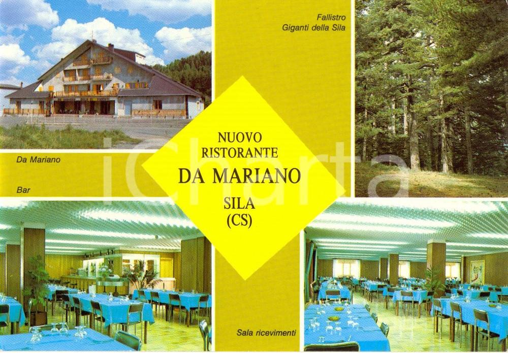 Cartolina originale da collezione 1970 ca SPEZZANO PICCOLO CS Ristorante DA MARIANO a CROCE DI MAGARA Vintage 1