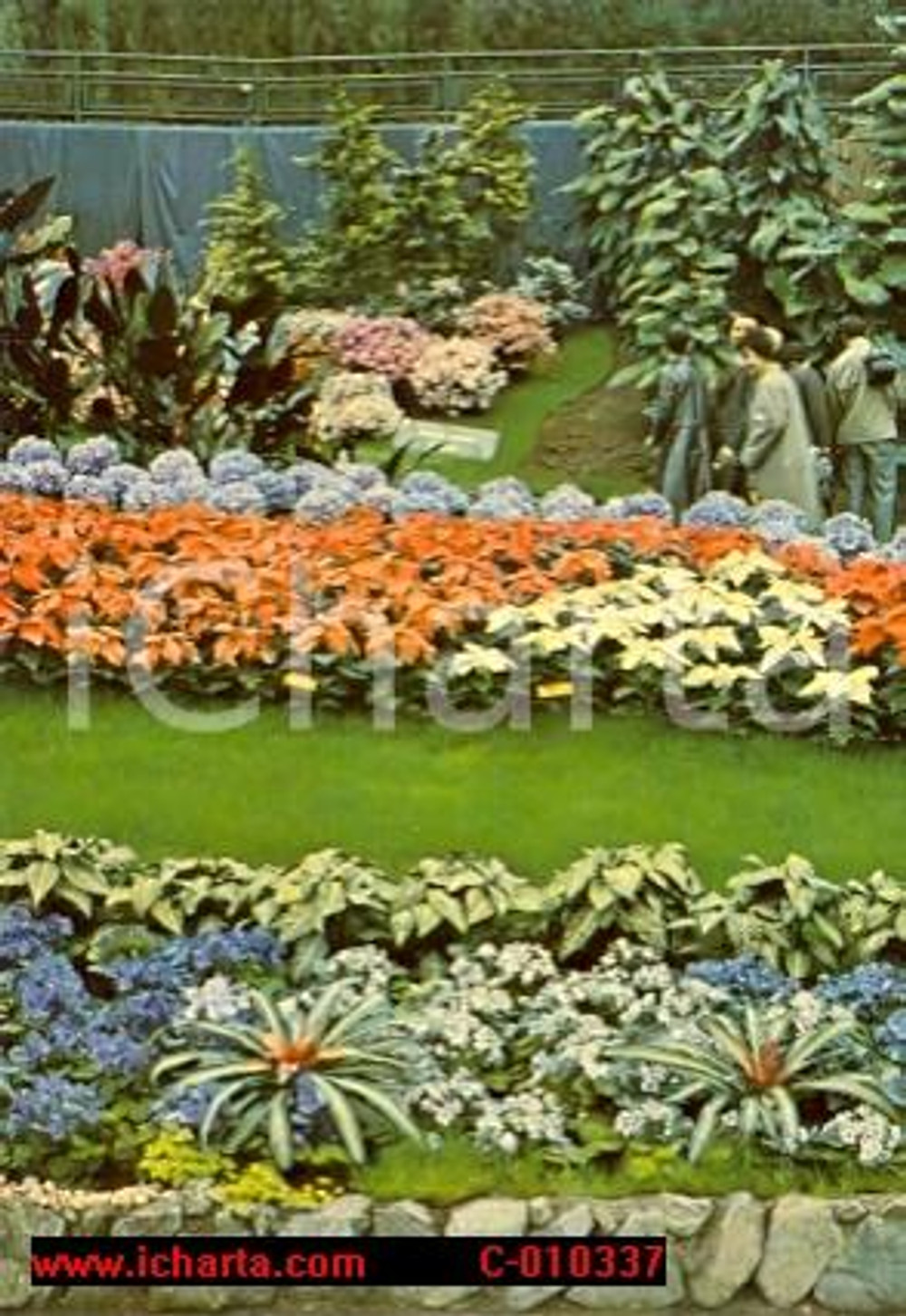 Cartolina originale da collezione 1976 GENOVA Fiera EUROFLORA Esposizione fiori Aiuole VINTAGE Animata *Cartolina 1
