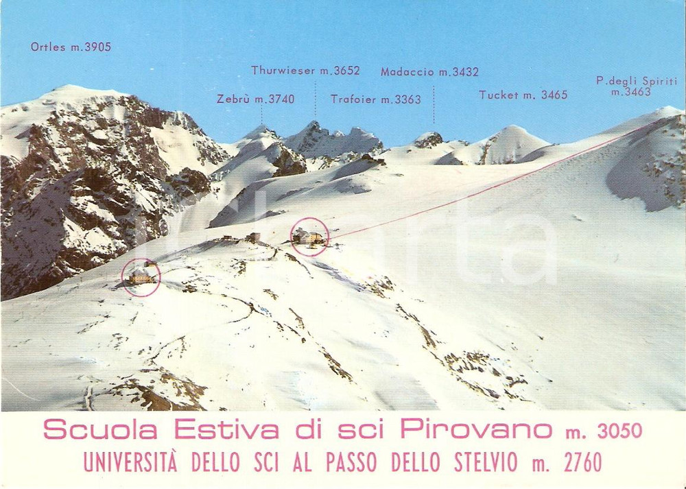Cartolina originale da collezione 1970 ca PASSO DELLO STELVIO TN Università dello sci PIROVANO Cartolina FG NV 1