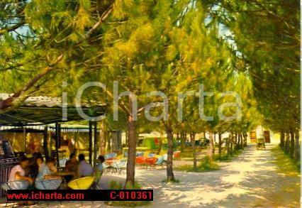 Cartolina originale da collezione 1975 ca MARINA DI CASTAGNETO CARDUCCI LI Chiosco CAVALLINO MATTO Vintage FG VG 1