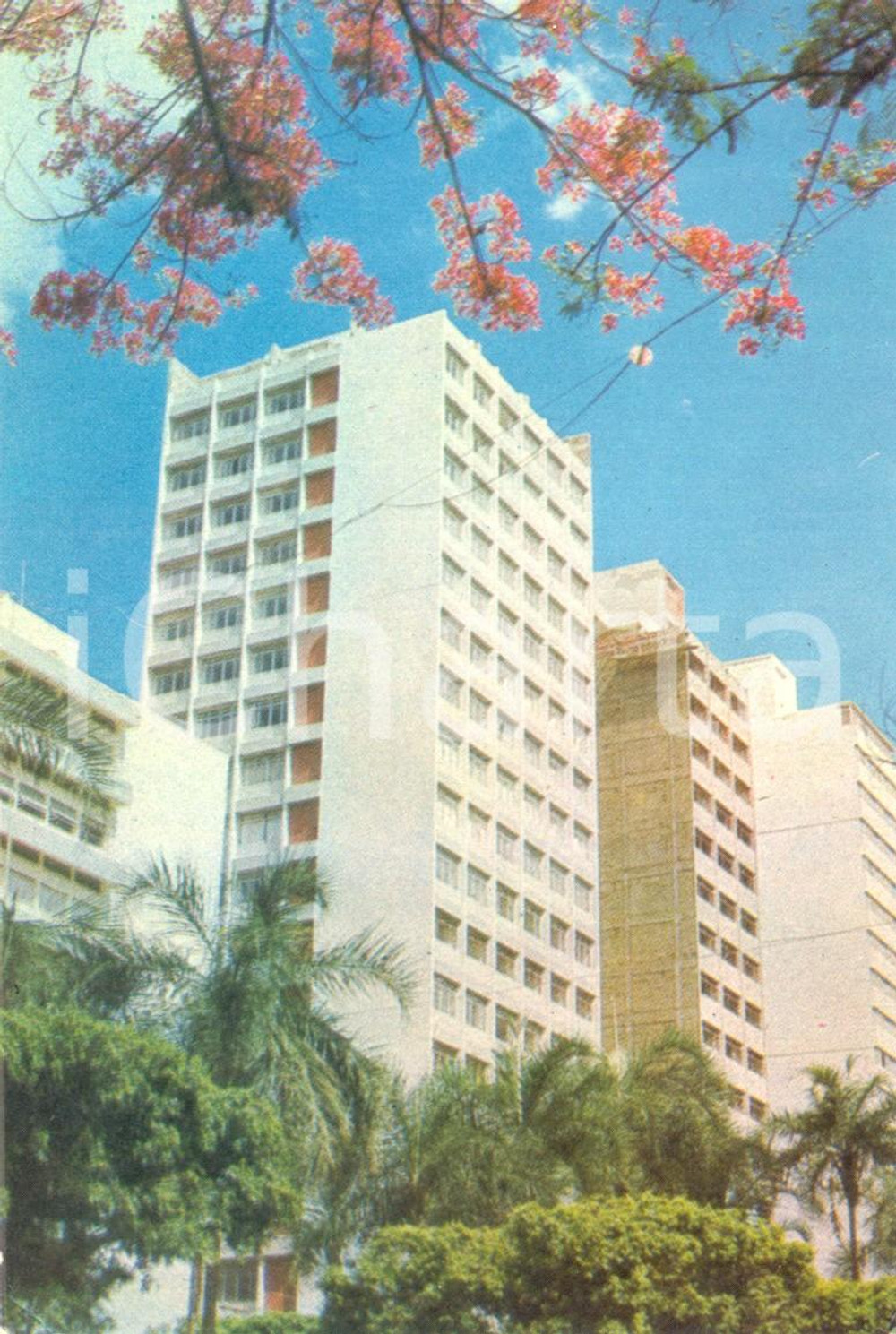 Cartolina originale da collezione 1970 ca GOIANIA Brasile Scorcio tra palazzi Cartolina VINTAGE FG NV 1