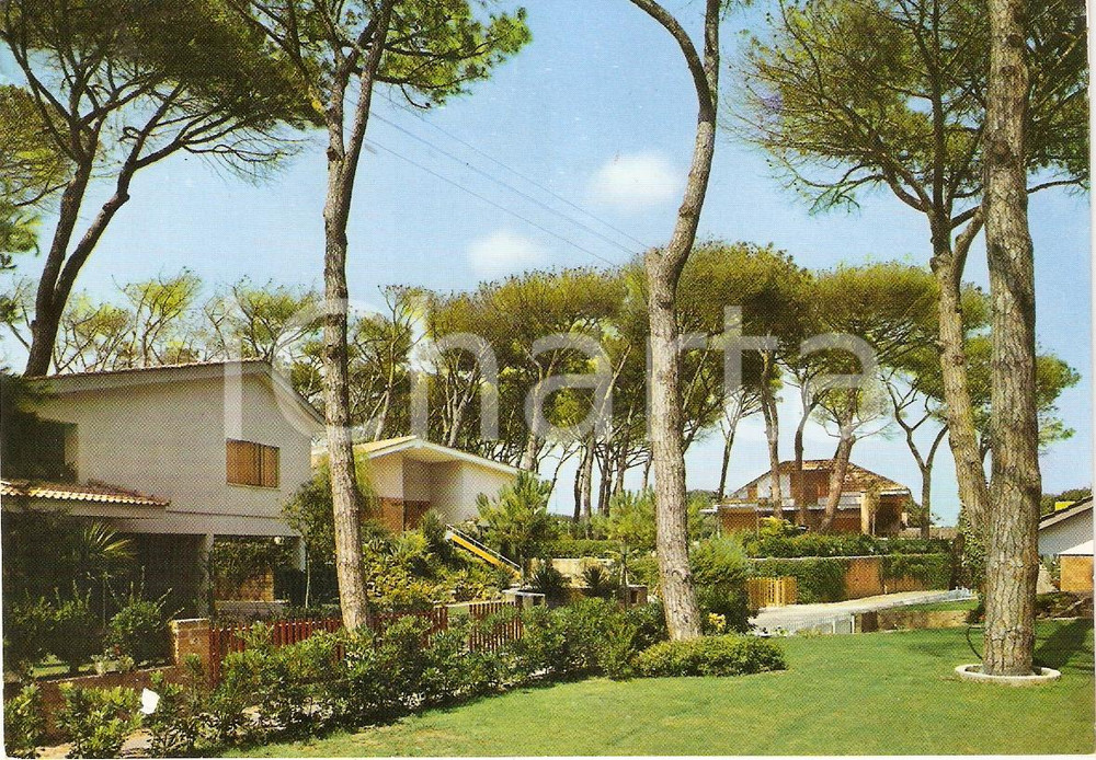 Cartolina originale da collezione 1965 POMEZIA Frazione TORVAIANICA (RM) Villini nella pineta *Cartolina VINTAGE 1