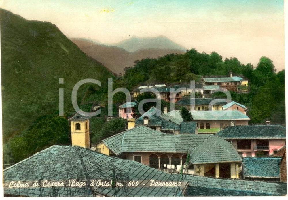 Cartolina originale da collezione 1950 ca COLMA DI CESARA VB Veduta panoramica Cartolina postale FG NV 1