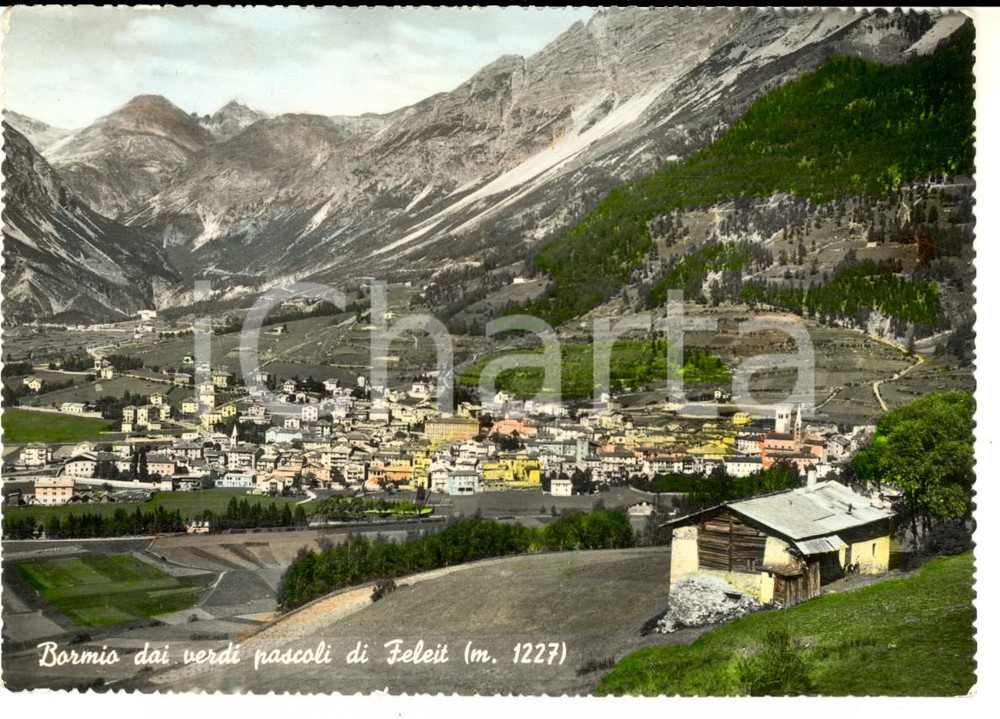 Cartolina originale da collezione 1952 BORMIO (SO) Veduta dai pascoli di FELEIT *Cartolina postale FG VG 1
