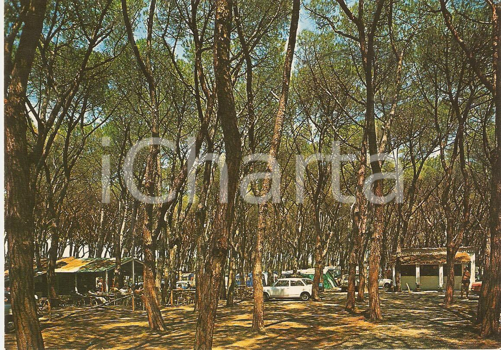 Cartolina originale da collezione 1976 SAN VINCENZO LI Camping LA TORRACCIA Cartolina VINTAGE FG VG 1