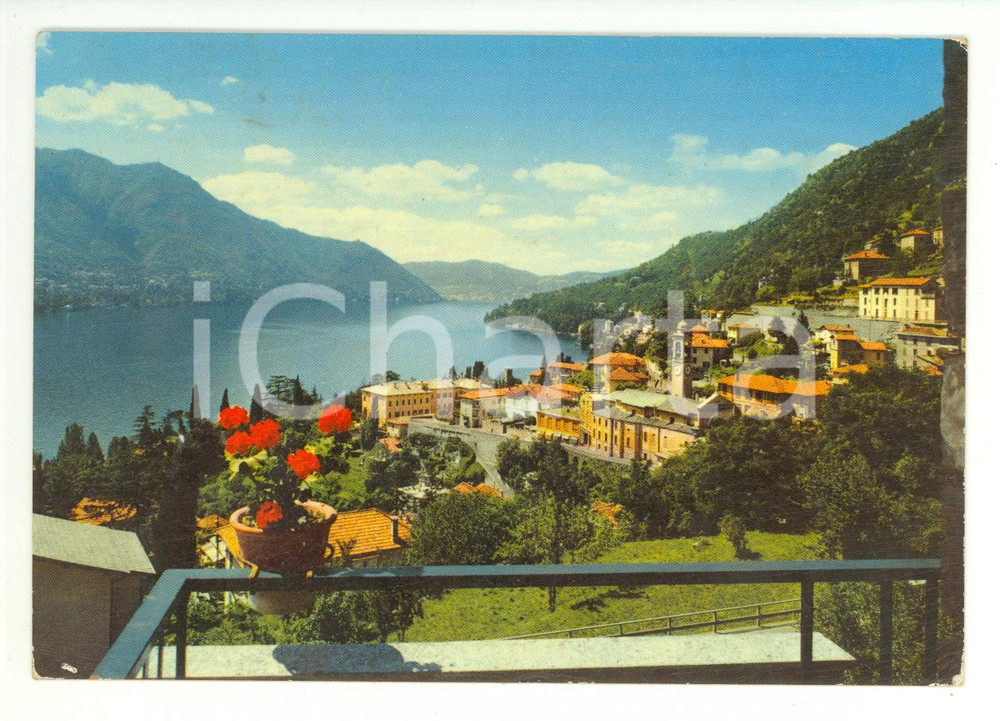 Cartolina originale da collezione 1969 MOLTRASIO (CO) Panorama del Lago di COMO *Cartolina VINTAGE FG VG 1