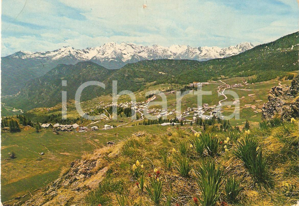 Cartolina originale da collezione 1975 ca TORGNON AO Panorama del paese Cartolina FG VG 1