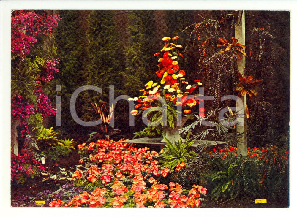 Materiale pubblicitario d’epoca 1971 GENOVA Fiera 2^ EUROFLORA - Allestimento floreale *Cartolina VINTAGE FG NV 1