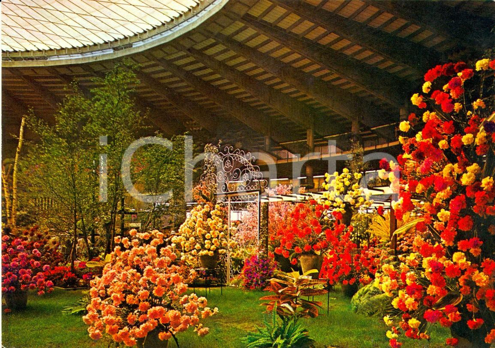 Materiale pubblicitario d’epoca 1971 GENOVA EUROFLORA Un allestimento floreale *Cartolina VINTAGE FG NV 1